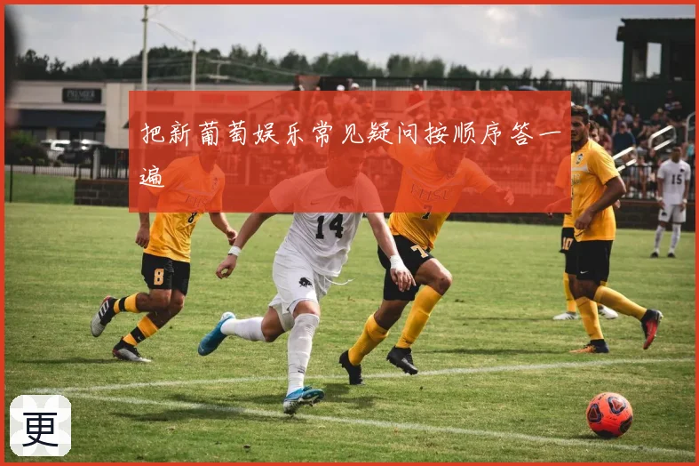 把新葡萄娱乐常见疑问按顺序答一遍
