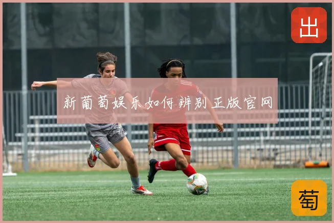 新葡萄娱乐如何辨别正版官网